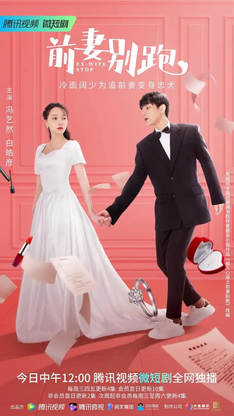 《前妻别跑》全集高清完整版在线观看与剧情解析