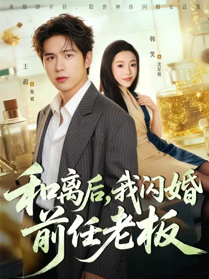 《和离后,我闪婚前任老板》全集高清完整版在线观看与剧情解析