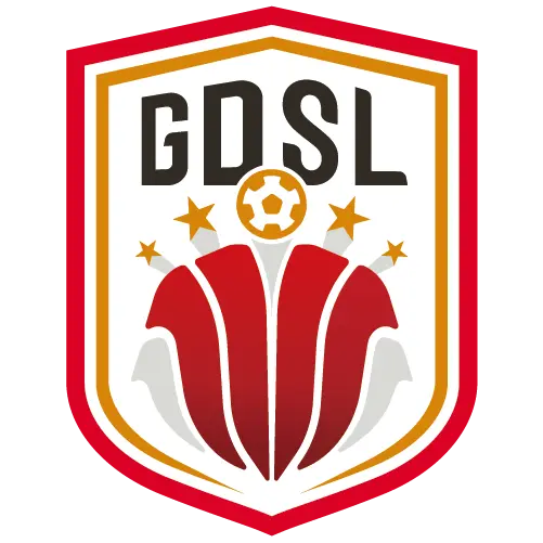 广东省足球超级联赛 广东广州豹vs河源乐里20250906