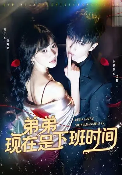 《弟弟现在是下班时间》全集高清完整版在线观看与剧情解析