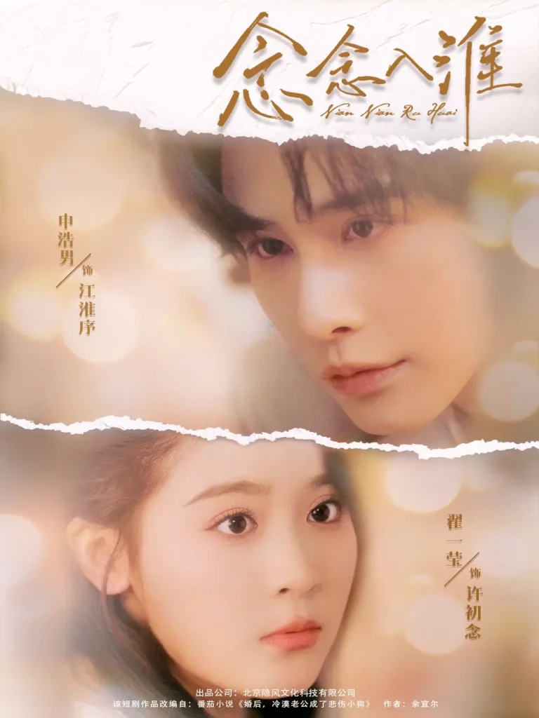 《念念入淮》全集高清完整版在线观看与剧情解析