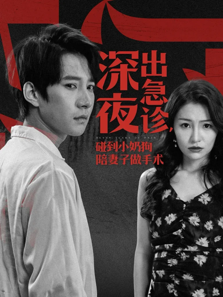 《深夜出急诊碰到小奶狗陪妻子做手术》全集高清完整版在线观看与剧情解析