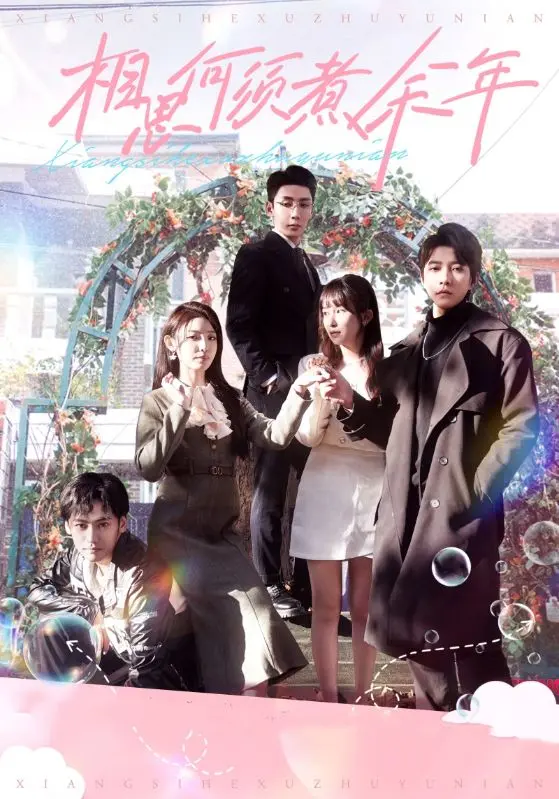 《相思何须煮余年》全集高清完整版在线观看与剧情解析