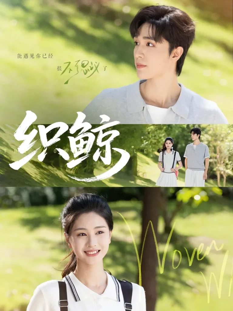 《织鲸》全集高清完整版在线观看与剧情解析