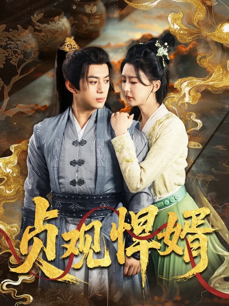 《贞观悍婿》全集高清完整版在线观看与剧情解析