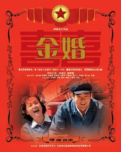 《金婚2007》全集高清完整版在线观看与剧情解析