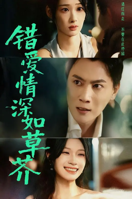 《错爱情深如草芥》全集高清完整版在线观看与剧情解析