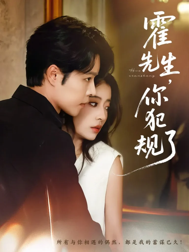 《霍先生你犯规了》全集高清完整版在线观看与剧情解析