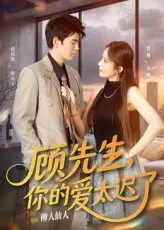 顾先生你的爱太迟了