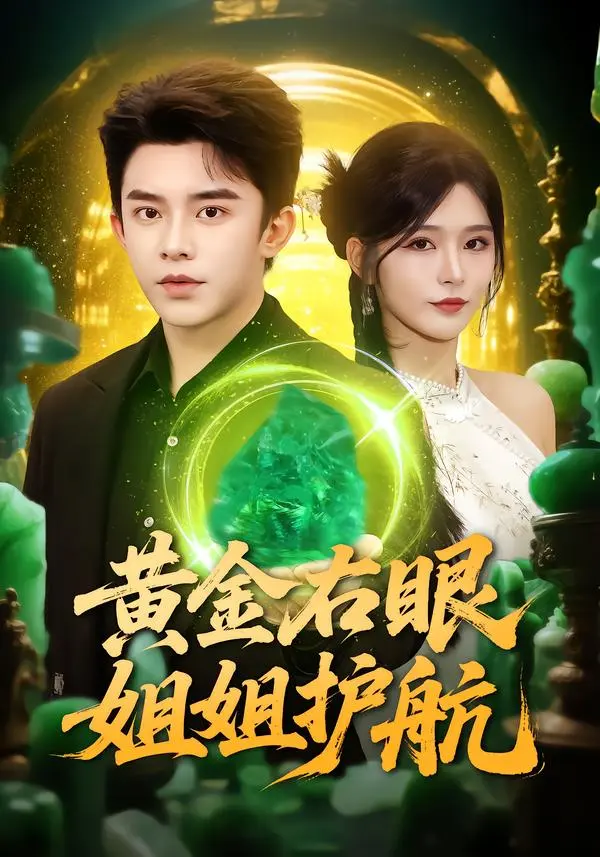 《黄金右眼,姐姐护航》全集高清完整版在线观看与剧情解析