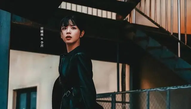 《喀什恋歌》《低智商犯罪》《良陈美锦》三剧同步热播 | 相关图片